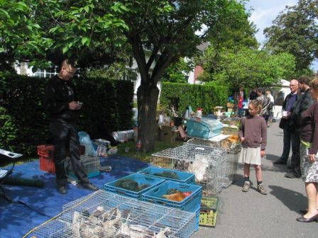 2011 Donkmarkt