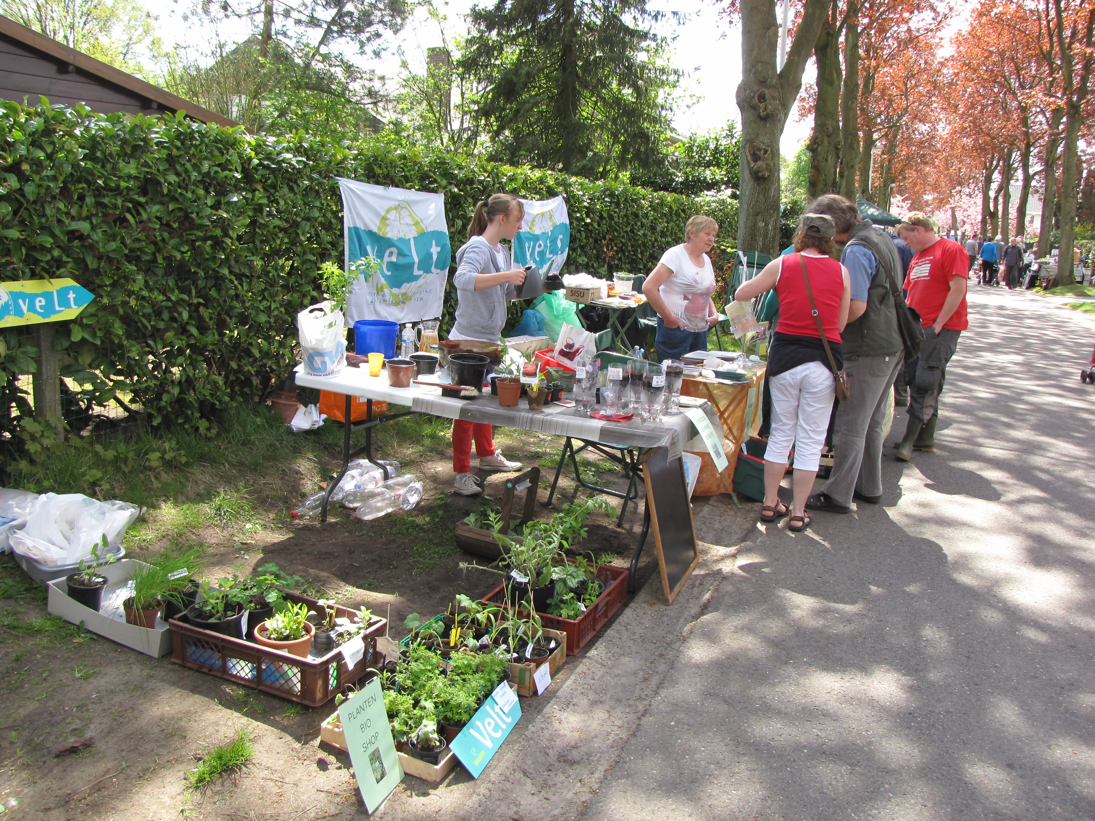 2013 Donkmarkt